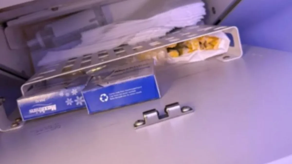 NEVEROVATNO OTKRIĆE NA 10.000 METARA Putnica otvorila pregradu – unutra je bilo OVO!