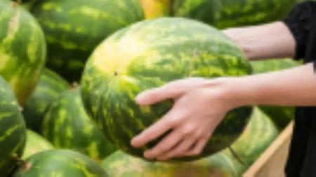 Nedeljkovićima se smejali na tezgi zbog veličine lubenica, a oni razvili biznis kom se divi i Evropa