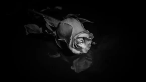 UMRO MUZIČAR (72) Mesec dana ranije otkrio teško oboljenje 