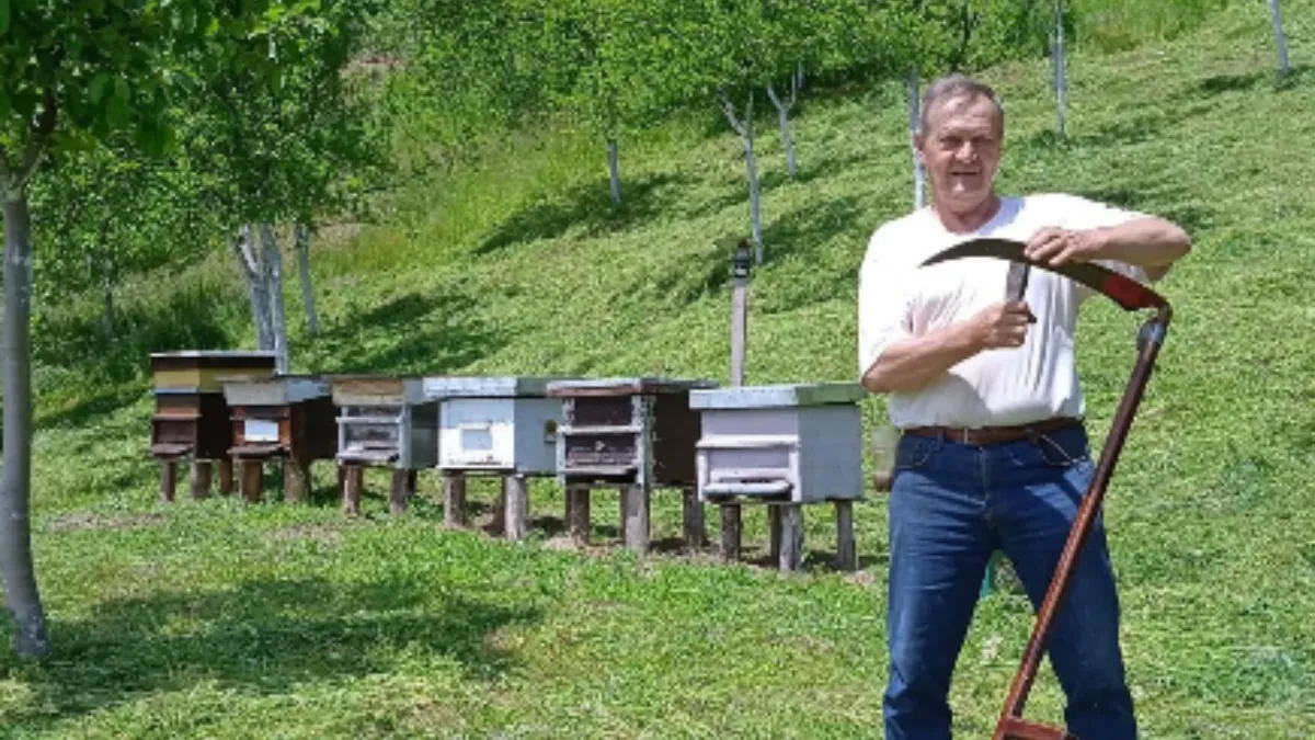 SVE ĆEMO VAS POBITI I BACITI U DRINU! Radoje iz Bajine Bašte za Alo!: "Pretio mi jer glasam za Vučića"