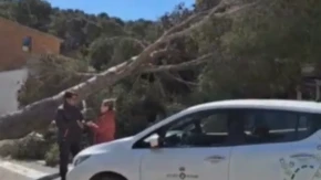 CRVENI ALARM U ŠPANIJI! Vetar obarao drveća i nosio krovove (VIDEO)