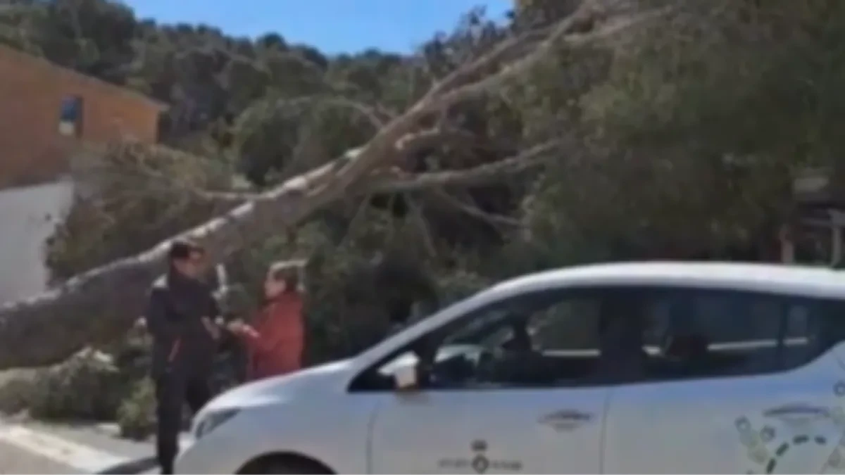 CRVENI ALARM U ŠPANIJI! Vetar obarao drveća i nosio krovove (VIDEO)