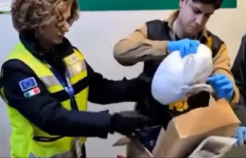 INCIDENT NA AERODROMU U paketu iz Bosne otkriven JEZIV SADRŽAJ - carinicima se sledila krv u žilama! 