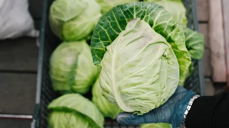 Evo gde vam ostane prljavštine, tu nikada ni ne pogledate: Kako pravilno oprati mladi kupus, ovaj deo obavezno pod mlaz vode!