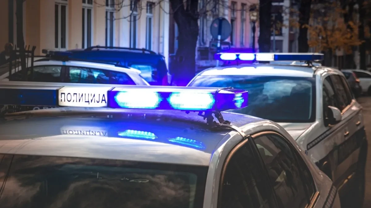 HOROR U RAKOVICI Upao u restoran sa SATAROM, uništavao sve pred sobom i opljačkao goste!