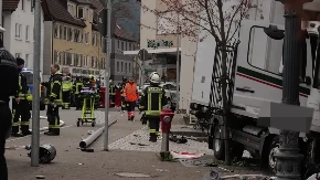 NAPAD VUKA U HAMBURGU! Žena izgrižena po glavi, velika hajka u nemačkom gradu!