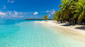 JEDINSTVENA FARMA NA RAJSKOM OSTRVU Do dragocenih bisera dolaze uz pomoć riba - proces je neverovatan