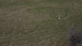 OVAJ MISTERIOZNI KRUG KOD KOSJERIĆA POJAVLJUJE SE SVAKOG PROLEĆA Narod veruje da vile tu igraju kolo