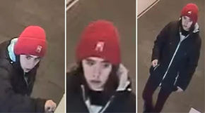 CELA DRŽAVA TRAŽI DEVOJKU SA CRVENOM KAPOM Ukrala je uređaj koji nekom bukvalno znači život, SUTRADAN JE NAĐEN U JARKU