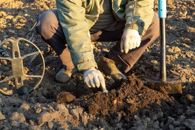 ISPROBAVALI DETEKTOR METALA NA LIVADI, PA POSTALI MILIONERI Doživeli su šok života- pred njima je bila dragocenost stara 1000 godina