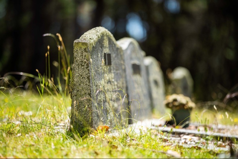 „NARKO-BANDA SA GROBLJA“ PALA U BELGIJI Mladić (25) osuđen na robiju zbog kokaina skrivenog među grobovima