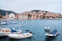 JEZIVA POJAVA NA JADRANU Pojavila se morska neman sa OTROVNIM BODLJAMA - meštani u panici!