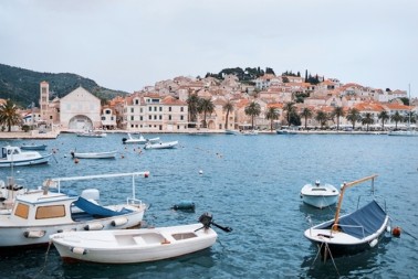 JEZIVA POJAVA NA JADRANU Pojavila se morska neman sa OTROVNIM BODLJAMA - meštani u panici!