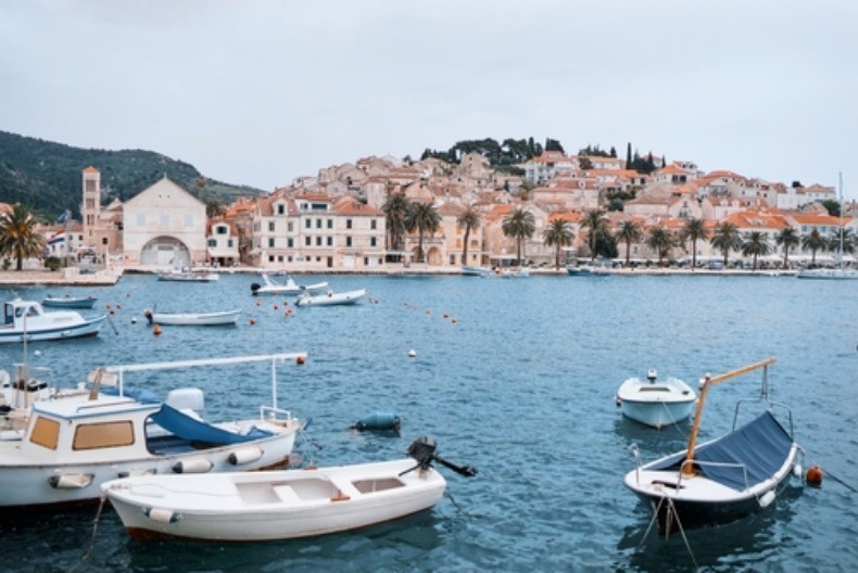 JEZIVA POJAVA NA JADRANU Pojavila se morska neman sa OTROVNIM BODLJAMA - meštani u panici!