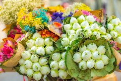 Ovaj cvet nikako ne poklanjajte ženama za 8. mart: Veruje se da donosi samo nesreću