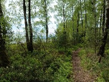 NESTALE ŽENE NEMA VEĆ TRI DANA! Policija češlja Zvezdarsku šumu, kao da je u zemlju propala!