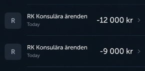 ŠVEDSKA VLADA NAPLAĆUJE SPAS Evakuacija avinom iz rata košta 50.000 kruna