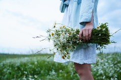 Prolećni hobi mogao bi vas koštati bogatstvo - kazne mogu dostići i do 4.000 evra