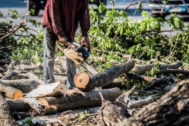 Ima 28 godina, troje dece i kredit, a zarađuje na zanimljiv način - prodaja ide ko luda