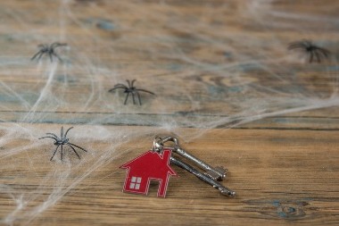 Moja komšinica stavi ovo u ćoškove i reši problem: Paukovi pobegnu, pa nema paučine!