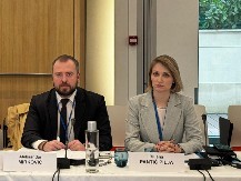 BILJANA PANTIĆ PILJA I ALEKSANDAR MIRKOVIĆ PODRŽALI REZOLUCIJU PROTIV GOVORA MRŽNJE: Vučić meta napada bez presedana!