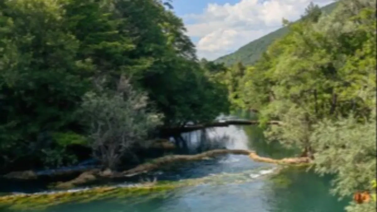 KAMIONDŽIJA SLETEO U REKU I UTOPIO SE Horor kod Bihaća