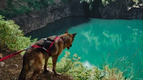 Nova pešačka zona,  70 km od Beograda, smeštaj za 20 evra - osveženje u omiljenoj banji