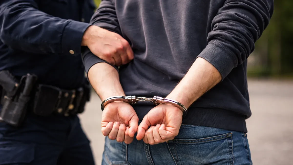 UHAPŠEN ALEKSINČANIN (23) KOJI JE IZAZVAO NESREĆU Sleteo s puta kolima i udario u stub, poginula devojka (19), urađen alkotest