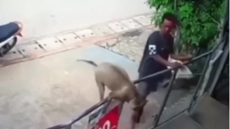 ZAKASNIO NA POSAO, ALI SE SNAŠAO Ljudi gledaju i plaču od smeha - pogledajte ovog psa u akciji