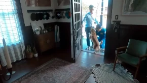 NAKON POVRATKA SA MESECA, ASTRONAUTKINJU DOČEKAO NJEN PAS Dirljiv video oduševio ljude - ovo je čista ljubav