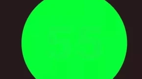 SVI VIDE ZELENI KRUG NA SLICI Samo 1% ljudi pronađe skriveni broj: Jeste li  među njima?