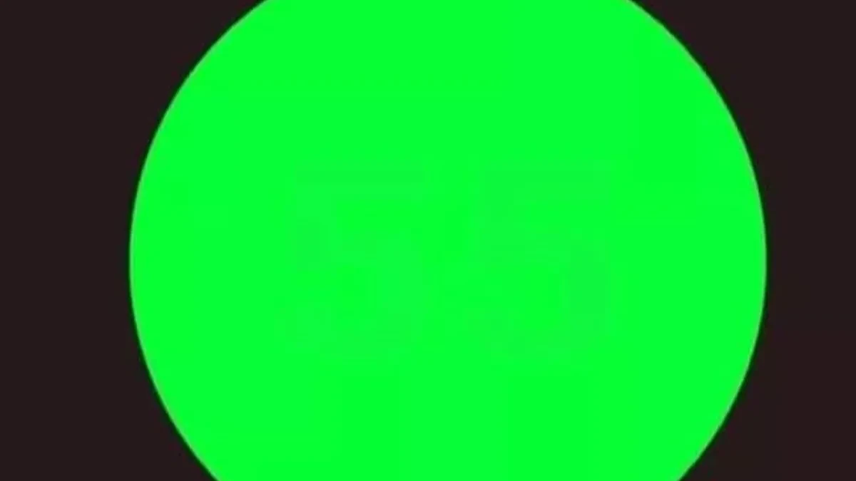 SVI VIDE ZELENI KRUG NA SLICI Samo 1% ljudi pronađe skriveni broj: Jeste li  među njima?