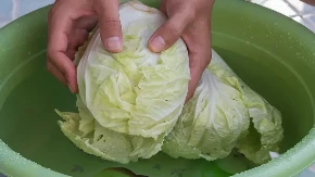 Kupus nije čist ni posle pranja: Evo šta obavezno morate da uradite sa glavicom