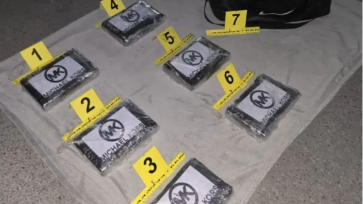 VELIKA AKCIJA U NOVOM SADU Diler uhapšen sa 6 KILA kokaina!