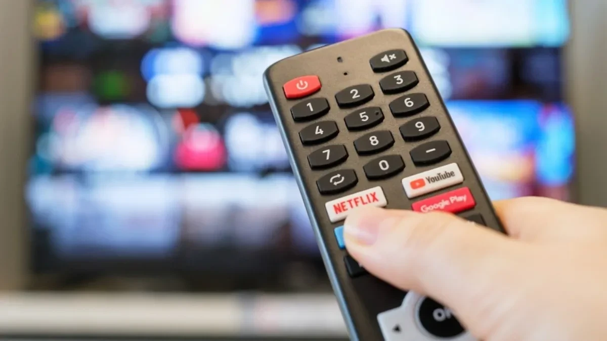 Zbog dva minuta snimka, Netfliks kažnjen sa 250.000 evra 