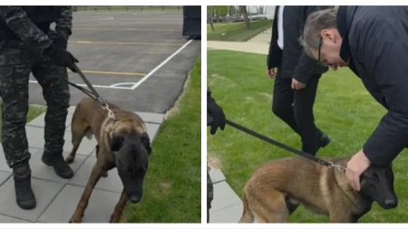 "NEUMOLJIV, OPASAN, BESKRAJNO ODAN..." Vučić o psu Milutinu: Momci kažu da će biti među najboljima! (VIDEO)