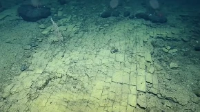 RONIOCI SU UGLEDALI POPLOČAN PUT NA MORSKOM DNU Lupali su glavu o čemu se tu radi, a onda su shvatili istinu