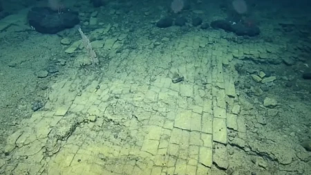 RONIOCI SU UGLEDALI POPLOČAN PUT NA MORSKOM DNU Lupali su glavu o čemu se tu radi, a onda su shvatili istinu