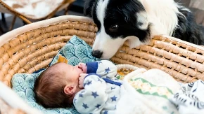OD LJUBOMORNE SCENE DO DELJENJA IGRAČKE Beba i pas postali nerazdvojni - video je neodoljiv