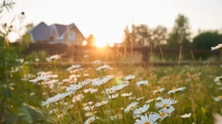 Ne kosite travu u maju: Stručnjaci apeluju ne vadite kosačice - rezultat će vas šokirati