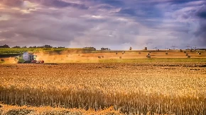 PRETI GLOBALNA KATASTROFA: Evo ko će pretrpeti najveće posledice