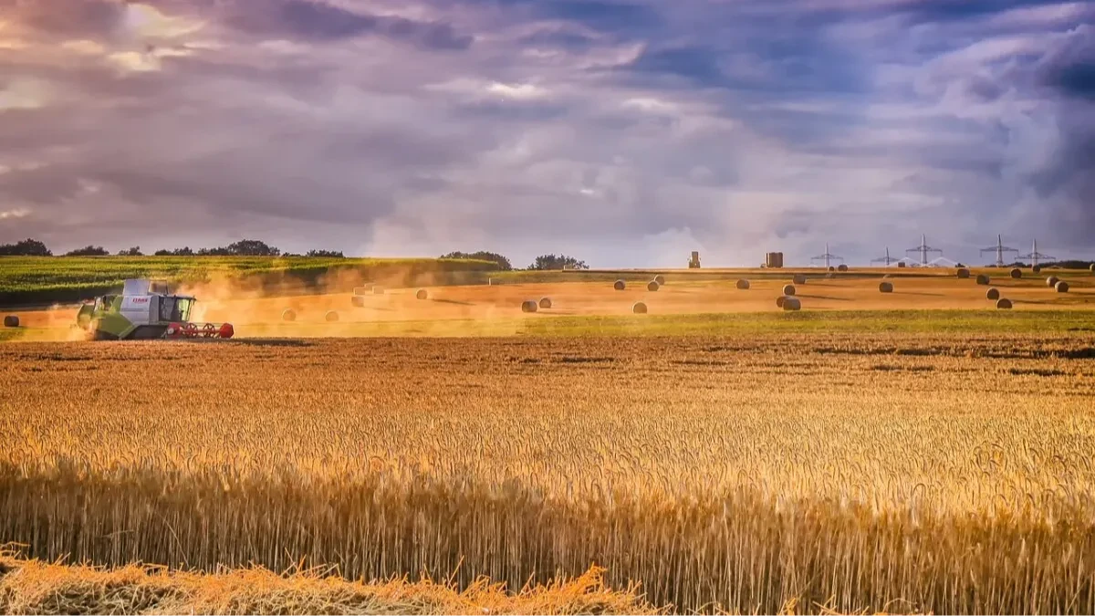 PRETI GLOBALNA KATASTROFA: Evo ko će pretrpeti najveće posledice