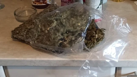 UHAPŠEN DILER U SRBOBRANU Policija mu pronašla drogu i oružje