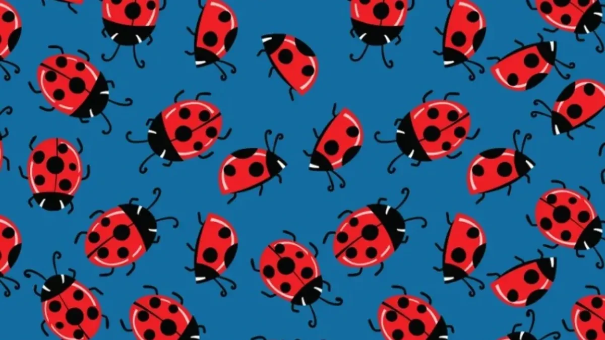 IMATE SAMO 7 SEKUNDI: Samo NAJINTELIGENTNIJI mogu da pronađu 3 razlike – da li ste među njima?