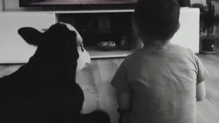 UGINULA JE FLEKICA, TELE KOJE JE OSVOJILO BALKAN! Živela kao član porodice, sa decom gledala crtane filmove!