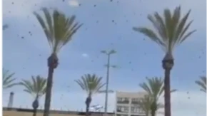 HOROR U IZRAELU! Desetine hiljada pčela okupiralo tržni centar – ljudi u panici! (VIDEO)