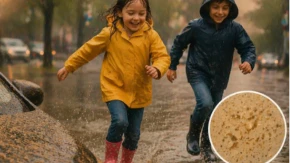 Da li je opasno da deca pokisnu kada padne „saharska kiša“ u Srbiji?