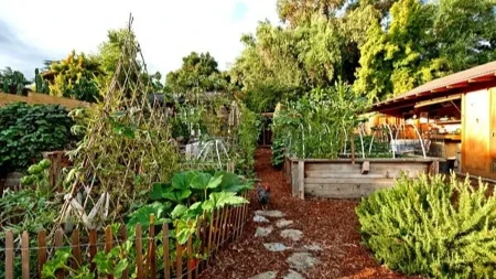 Zašto je važno da se biljke popraše pekarskim kvascem? Njihovo bujanje je samo jedan od benefita