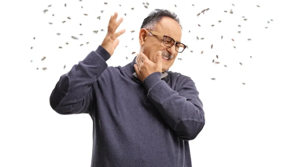 KATAKLIZMA U MALOM GRADU Rojevi pčela se pojavili niotkud, pa počeli da NAPADAJU ljude - zavladala je opšta PANIKA