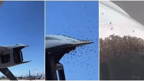 ŠOK SNIMCI IZ IZRAELA! Najveći roj u istoriji zemlje napao VOJNI AVION! (VIDEO)